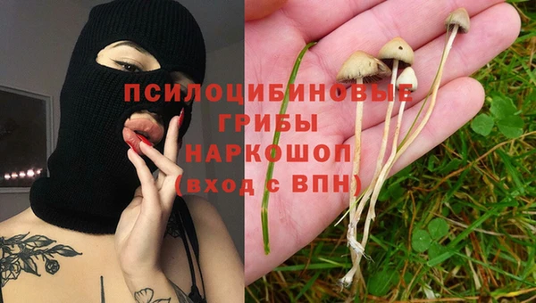 винт Баксан